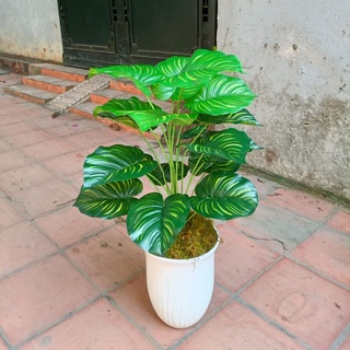 Cây cảnh giả cao 70cm, 18 lá to , Ko kèm chậu - Cây giả trang trí nhà cửa, sân vườn, decor
