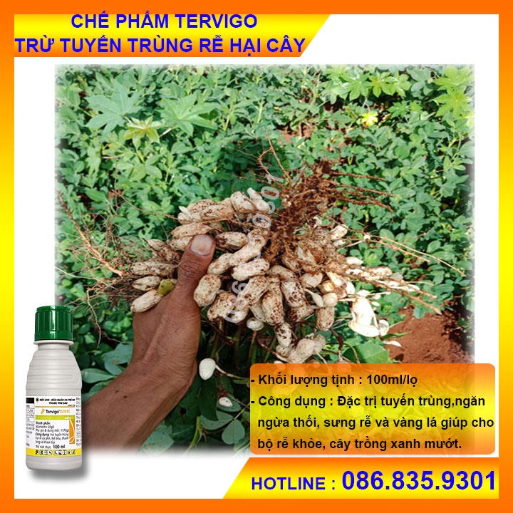 Tervigo 020SC ( 100ml) Đặc Trừ Tuyến Trùng Rễ- ngăn ngừa thối sưng rễ và vàng lá