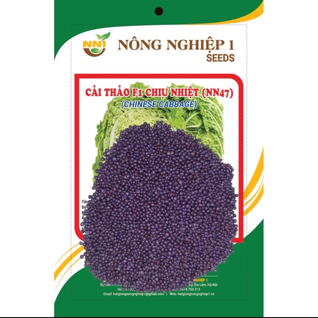 Hạt giống cải thảo chịu nhiệt