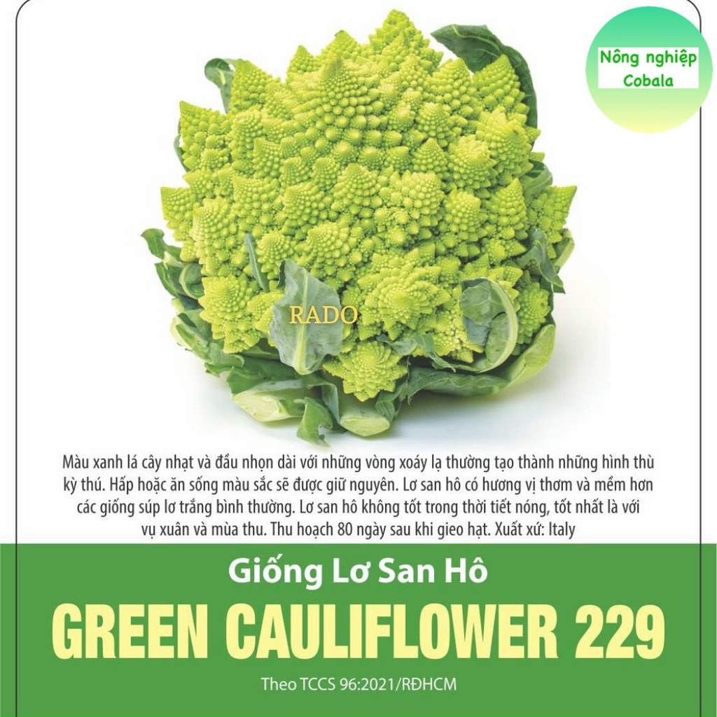 Hạt Giống Bông Cải, Súp Lơ San Hô (229) 1gr