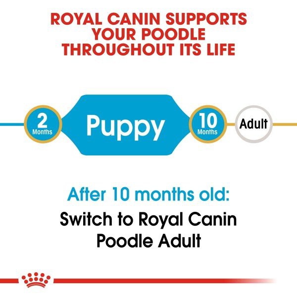 Royal Canin Poodle Puppy 1,5kg - Thức ăn hạt cho chó con giống poodle 1.5kg