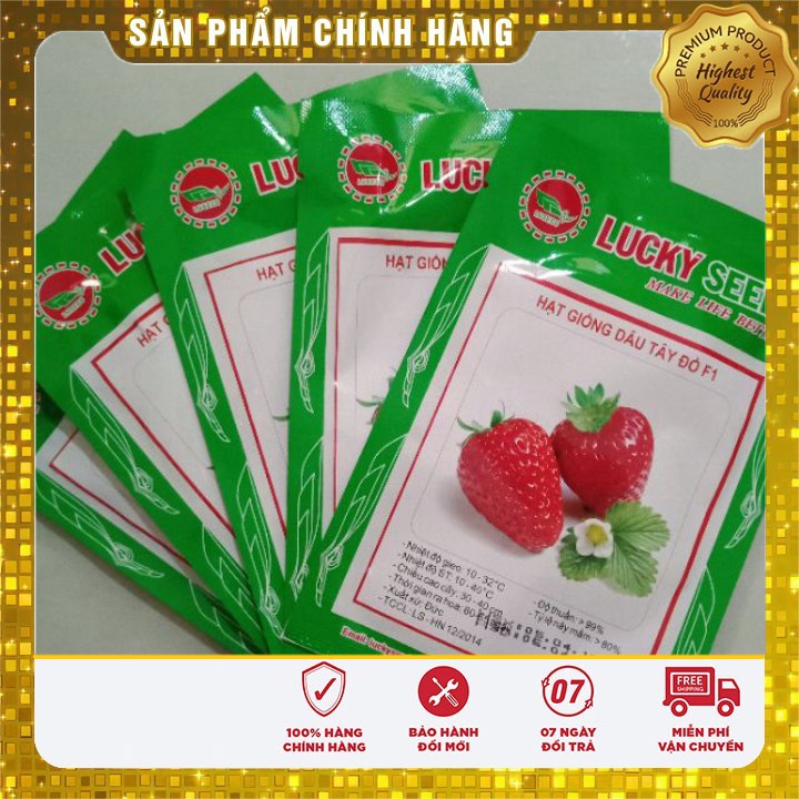 HẠT GIỐNG DÂU TÂY ĐỎ LUCKY SEEDS (100 hạt)