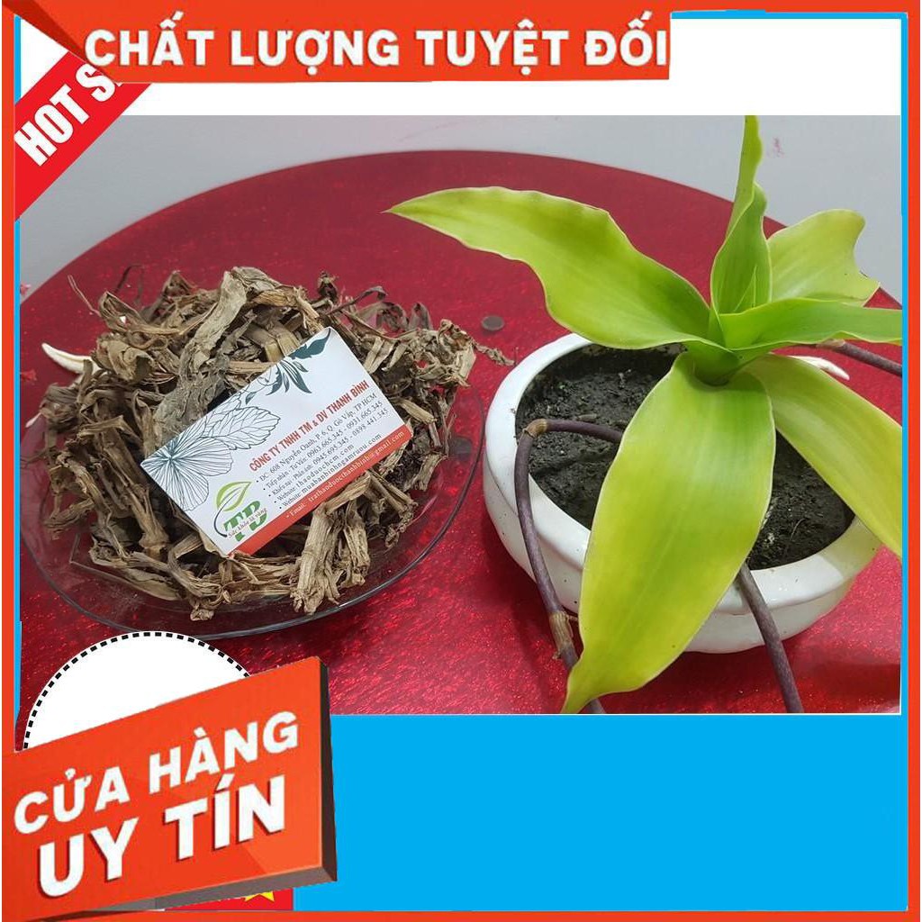 Cây Lược Vàng 500g Khô/Tươi - Hàng Tự Nhiên 100%