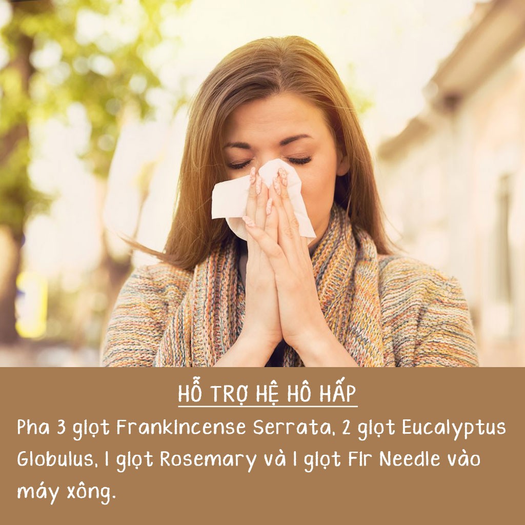 Tinh Dầu Hương Trầm (Frankincense Serrata) - 100% Thiên Nhiên Nguyên Chất - Vitabox Natural Essential Oil