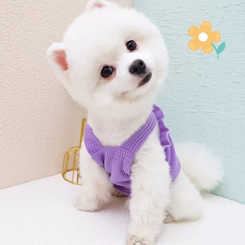 Váy cho thú cưng màu pastel in hoa kiểu dáng babydoll cực dễ thương