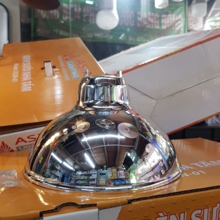Combo 11c chao nhựa mạ bạc 30cm