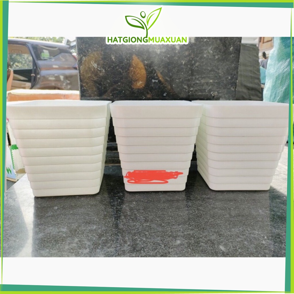 Chậu nhựa vuông 16cm vân ngang