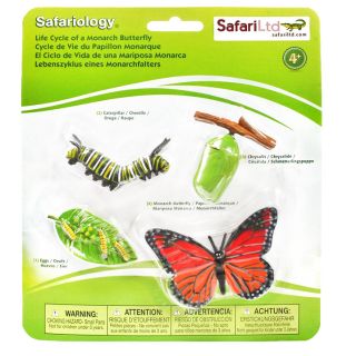 Mô hình vòng đời Safari (Mỹ)