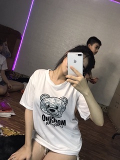 Áo phông 5d( ib để lựa mẫu)