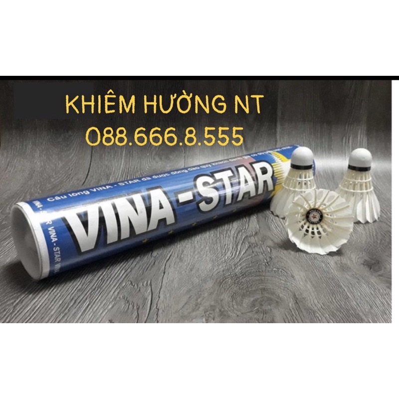 Cầu Lông Vina Star+88+Bình Minh+ViBa