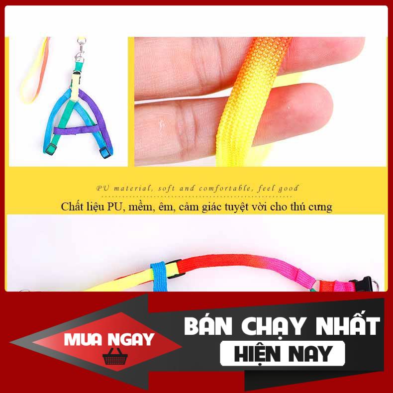 [❌GIÁ SỈ❌] Dây dắt nhỏ 7 màu + Tặng kèm yếm - Dây dắt 003 0 ❤️