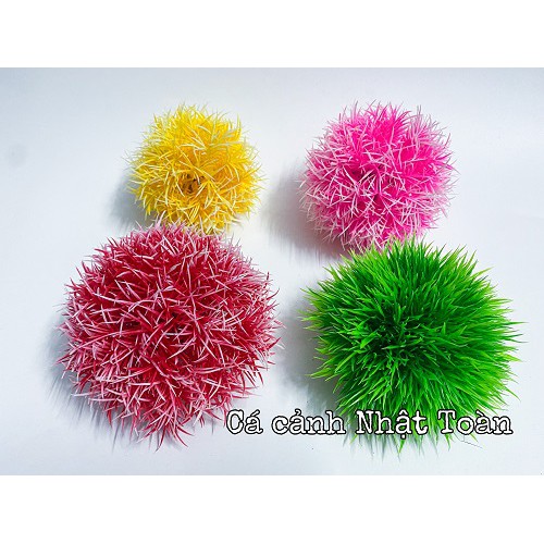 RONG CẦU ĐỦ MÀU TRANG TRÍ BỂ CÁ CAO 7CM