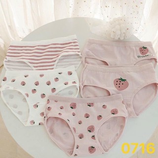 Quần cotton quả dâu cao cấp 🍓🍓🍓