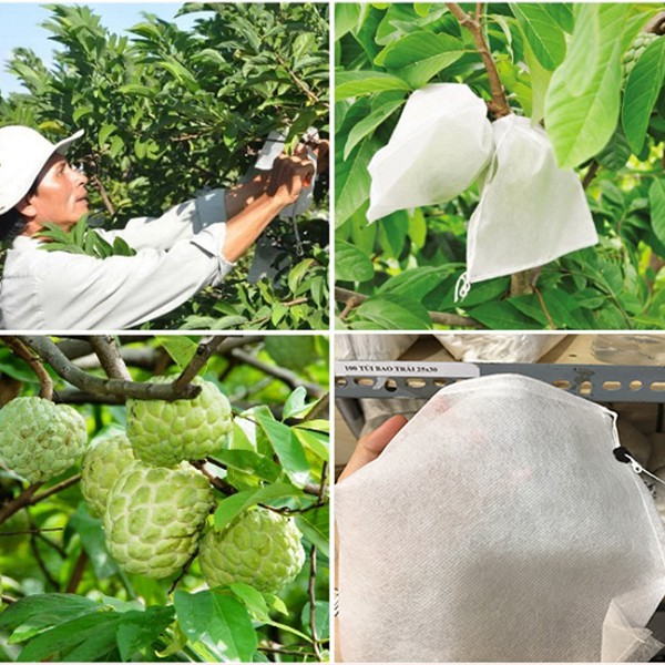 [ 20*25cm ] 100 CÁI TÚI BAO , BỌC CAM,LÊ,NA THÁI,BƠ,..TÚI BAO,BỌC TRÁI CÂY