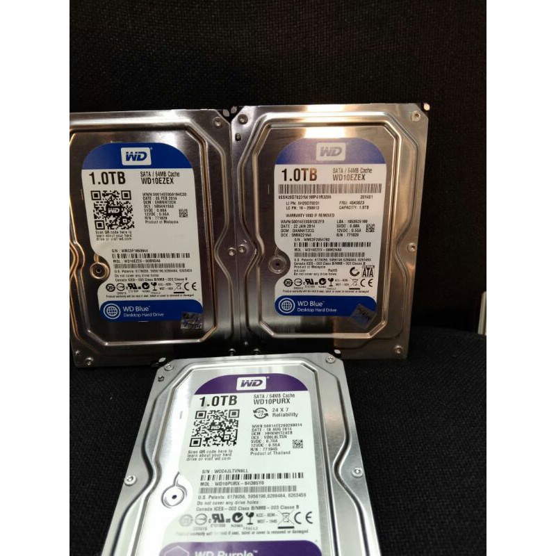 Ổ Cứng Wdc 1tb