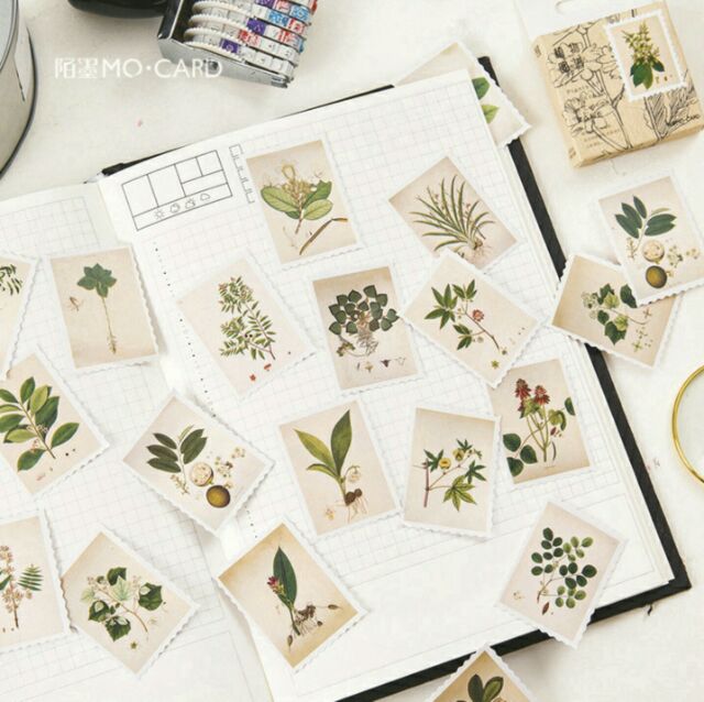 Bộ 45 sticker cây cỏ &amp; lá Plant ☘