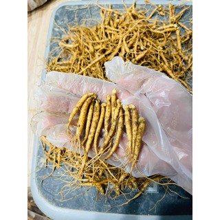 COMBO 200gr mầm sâm Nhân Sâm Hàn Quốc