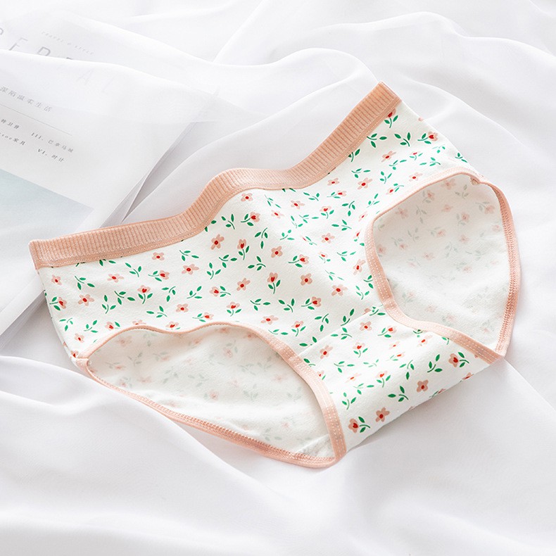 Set 5 quần lót nữ họa tiết Chery_NuciFera