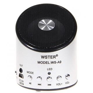 Loa Wster WS-A9 (WSA9)