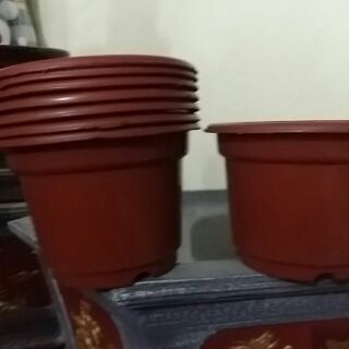 10 chậu nhựa trồng cây 24cm