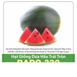 Hạt giống dưa hấu trái tròn sai trái 0.5gr