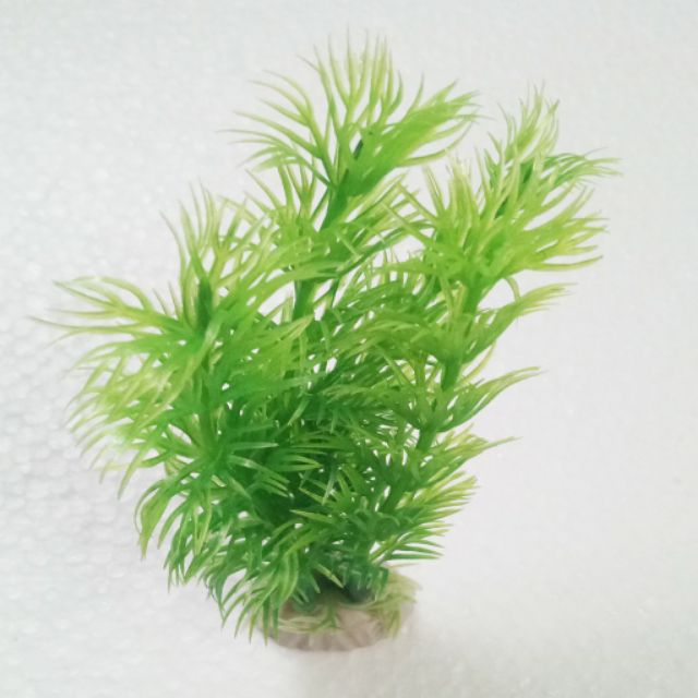 Cây Trang Trí Bể Cá hồ cá Size Mini (Khoảng 12cm x 5cm Mỗi Cây) - Đồ Trang Trí Hồ Cá