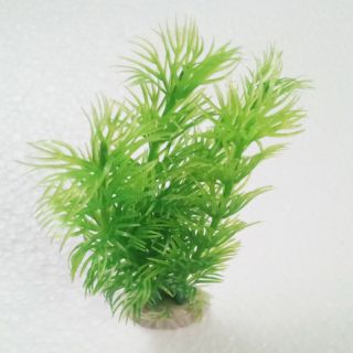 Cây Trang Trí Bể Cá hồ cá Size Mini (Khoảng 12cm x 5cm Mỗi Cây) - Đồ Trang Trí Hồ Cá