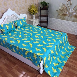 Sét chăn ga gối trần bông