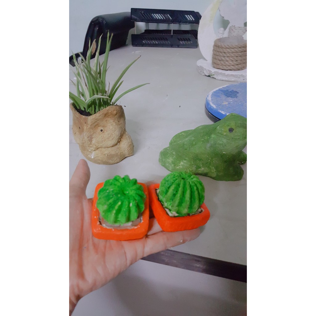 Chậu xương rồng bằng xi măng  trang trí