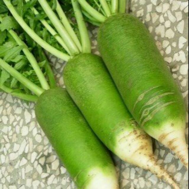 Củ cải đường xanh