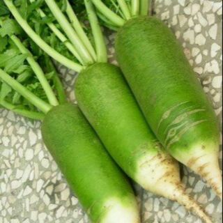 Củ cải đường xanh