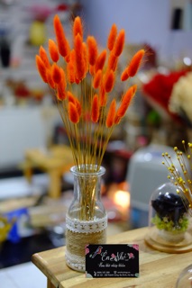 Lọ hoa cỏ đuôi thỏ