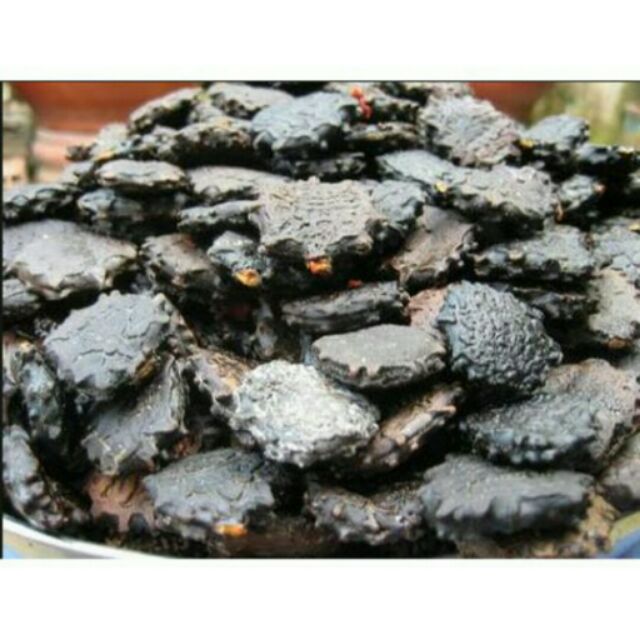 5kg HẠT GẤC