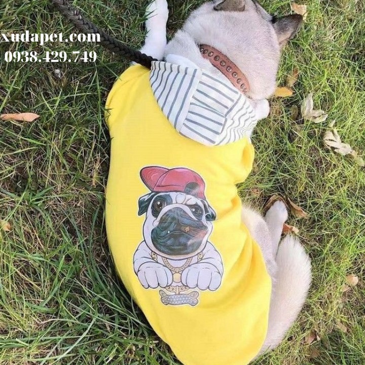 Áo Hoodie Vàng Hình Chó Pug Nón Sọc chất liệu thun co giãn cao cấp - Xudapet - SP000597