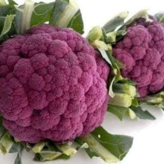 Hạt Giống Súp Lơ Tím( nhập khẩu )