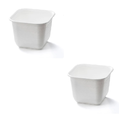 Daiso Chậu Hoa Dạng Đứng Flowerpot Talltype 6 19x15.5.15.5 cm