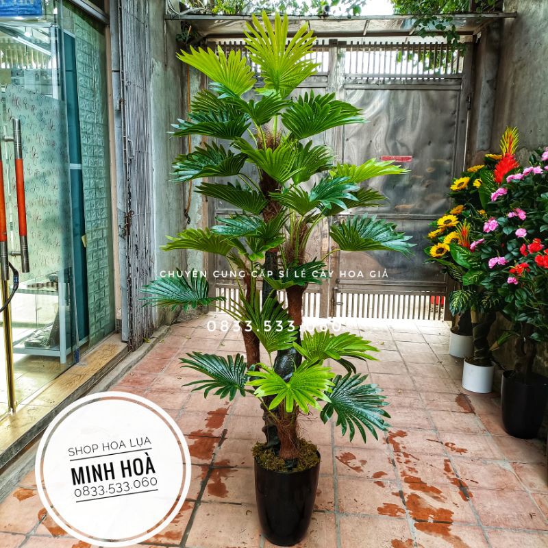 Cây cọ xoắn 1m8 thân nhựa được bọc bằng sơ cây thật-Cây giả trang trí nhà cửa- Ko kèm chậu