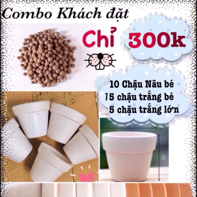 Combo 30 chậu cho khách