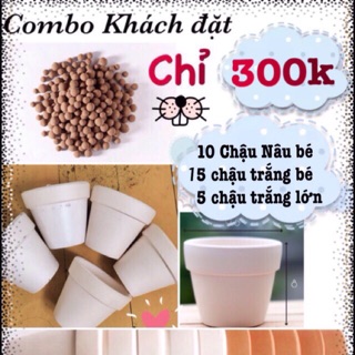 Combo 30 chậu cho khách