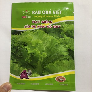 Hạt Giống Cải bẹ mào gà 20g - dùng làm rau chộn, salat, nấu canh, ăn lẩu [ Hàng chất lượng - Tỷ lệ nảy mầm cao ]