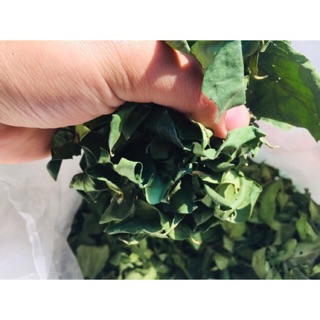 Lá Găng làm thạch xanh 500g