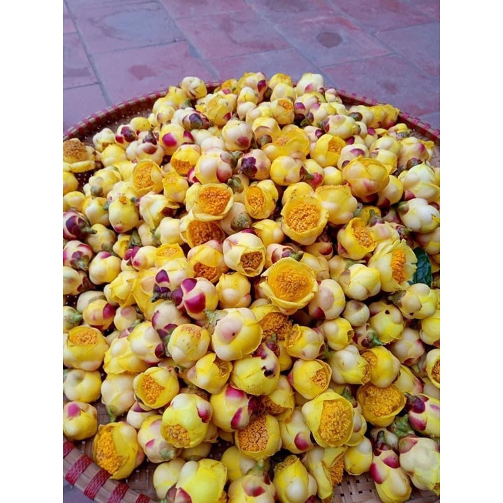 100gr  Trà Hoa Vàng Sấy Lạnh Thượng Hạng - Đặc Sản Rừng
