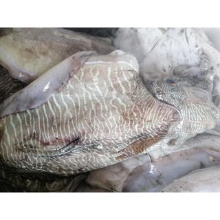 CHẢ MỰC [Hà Nội Giao Liền 1h]  Đã Chế Biến-loại thường