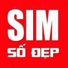 Sim 4G - ( CHỌN SỐ ĐẸP ĐỒNG GIÁ 300K ) vinaphone - Itel CÓ GÓI 90gb/tháng + free gọi vina giống sim vd89 - vd149 - v90