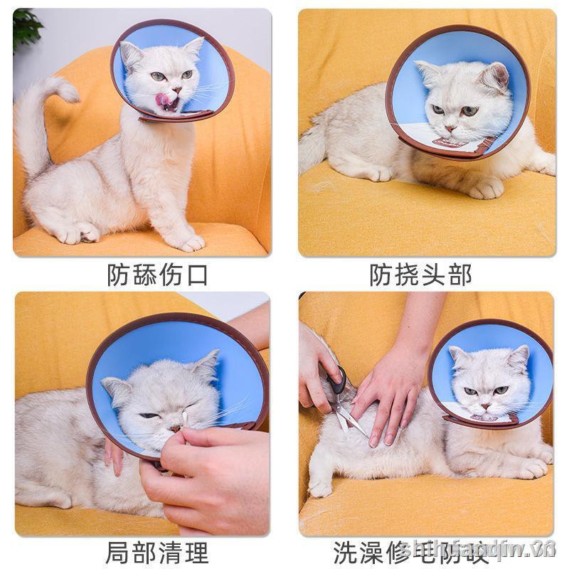 ▦Breakfast under the Excellent Product ⊙¤ Elizabeth Circle Shame Cats and Dogs Anti-licking Cat Collars Large Dogs Sterilization Dog Headgear Collar Elizabeth 1