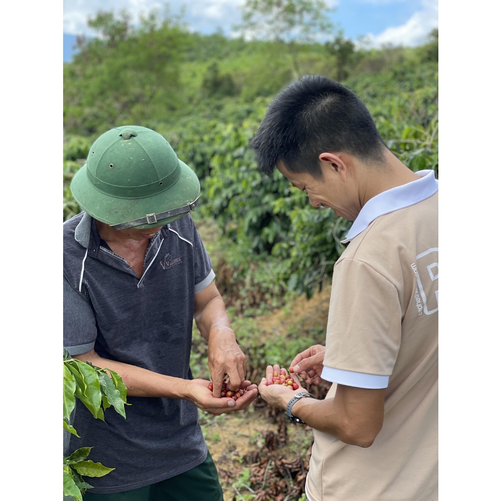 Arabica A Lưới Greenfields Coffee - Cà phê đặc sản Huế (rang light) 250g | BigBuy360 - bigbuy360.vn