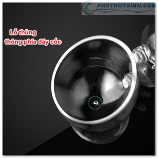 Cốc trồng cây