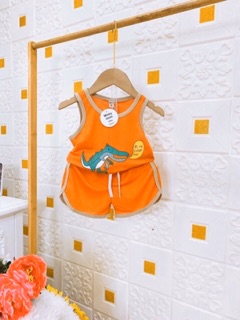 Combo 100k 3 bộ cotton đũi chất đẹp