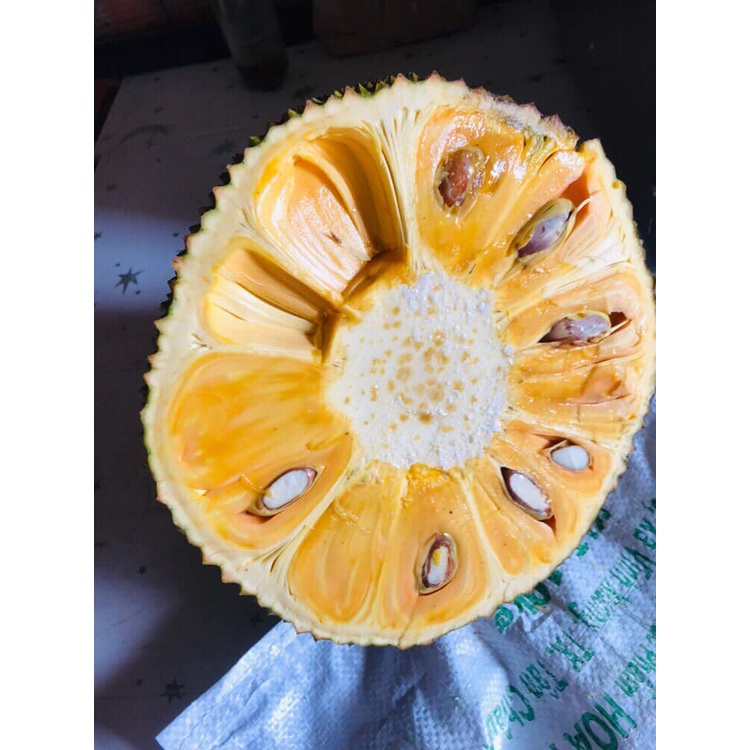 250g mít chín sấy giòn