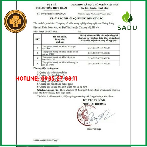 cà gai leo cao sadu hôp 100Gr ⚜️FREESHIP⚜️ hỗ trợ và điều trị các bệnh về gan